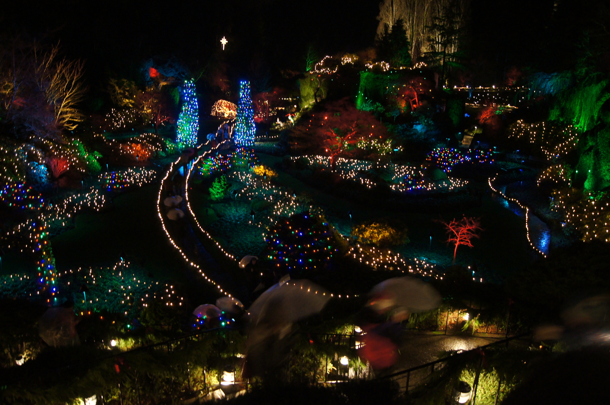 Photo gallery: Butchart Gardens shine bright for Christmas: Photo